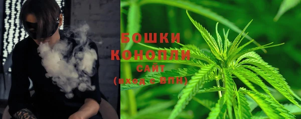 сатива Абинск