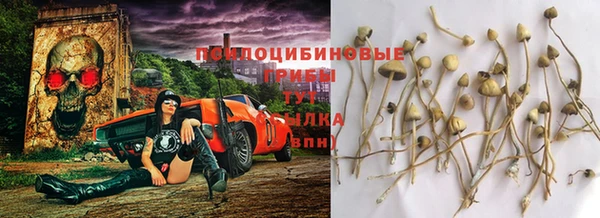 spice Осинники