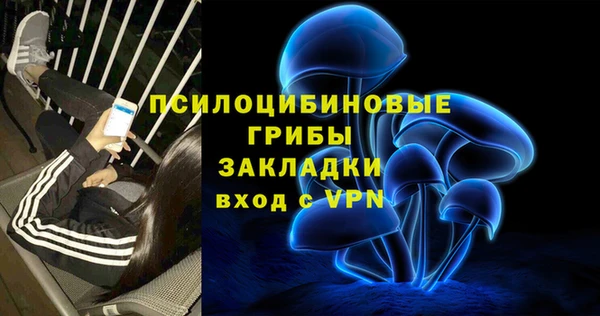 сатива Абинск