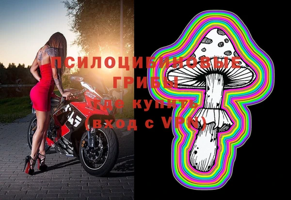 скорость Абаза