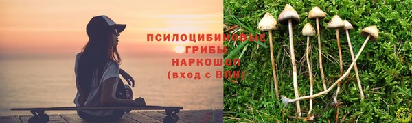 скорость Абаза